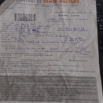 chien Bichon havanais S'kiwilie Les Havanais de la Maison de Prigailla